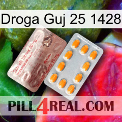 Guj Drug 25 1428 new13